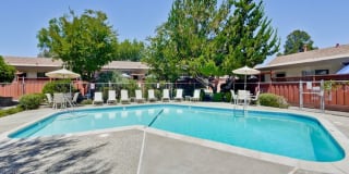 Cherry Blossom Apartments Gallery 3