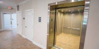 Davis Gardens Gallery 23