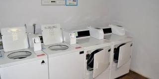 Sundance Garden Gallery 5