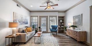 Rise at Elmside Gallery 5