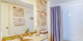 Coastline Cove Gallery 40