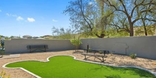 Portola South Mountain Gallery 12