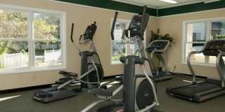 Woods of Marlton Gallery 8