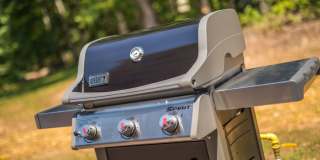 Davis Gardens Gallery 37