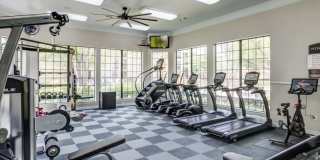 Sola Westchase Gallery 7