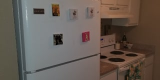 Woodbury Place Gallery 1