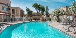 Ventana Palms Gallery 15