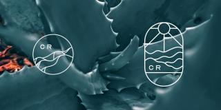 Caliza Ridge Gallery 12