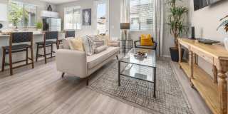 TerraLane on Cotton Gallery 3