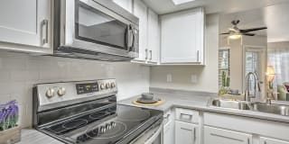 Desert Sage Gallery 1