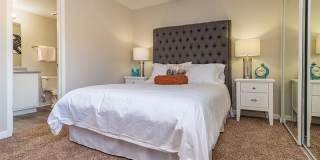 Puerta Del Sol Gallery 6