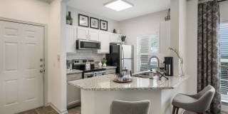 Toscana at Sonterra Gallery 1