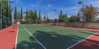 Palm Mission Village & Estates Gallery 49