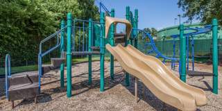 Mira Bella Apartments Gallery 9