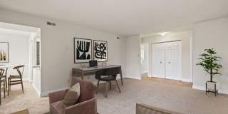 Camden Hills Gallery 20