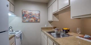 Cameron Terrace Gallery 1