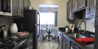 Goldelm at 414 Flats Gallery 2