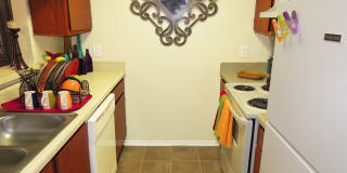 Alexis Park Gallery 32