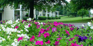 Starline Apartments Gallery 18