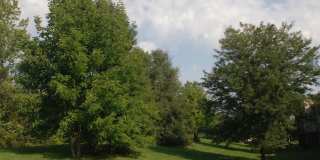 Breton Court Gallery 26