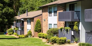 Cross Creek Gallery 52