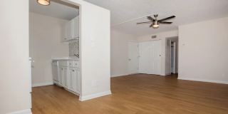 Milo Bayside Gallery 7