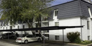 Mt. Aire Gallery 24
