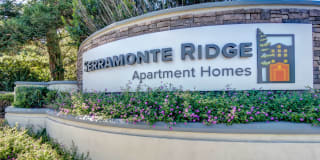 Serramonte Ridge Gallery 21