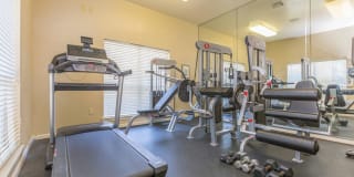 The Avenue Gallery 5