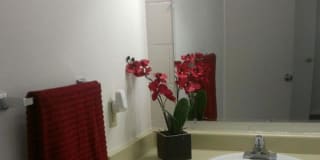 Wallington Plaza Gallery 27