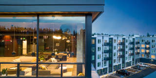 Bell Alderwood Gallery 42