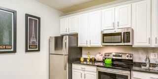 Vivant Woodholme Gallery 6