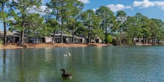 Retreat At Northlake Gallery 4