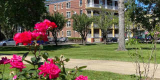 Union Street Apartments Gallery 6