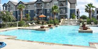 Oak Forest Gallery 9