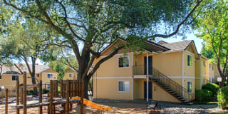 Heather Ridge Gallery 9