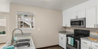 Carriage Park Gallery 1