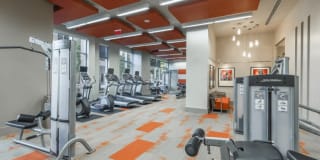 Gallery Bethesda I Gallery 22