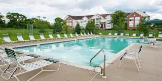 Somerset Park Gallery 5