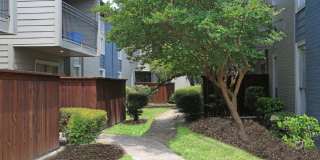 The Element Apartments Gallery 7