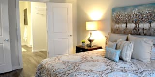 PURE St. Peters Apartments Gallery 8