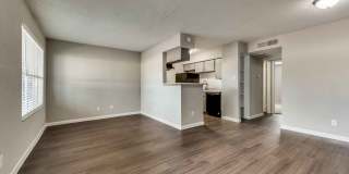 The Sophia Gallery 16