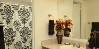 Orange Tree Villa Gallery 3