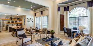 Sola Westchase Gallery 4