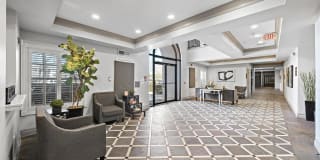 Rise at Elmside Gallery 12