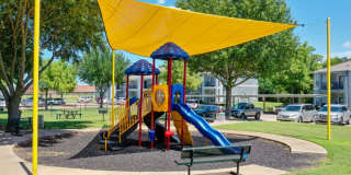 The Timbers at the Park Gallery 11