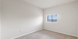Camden Hills Gallery 24