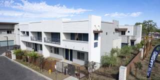 The Carson Gallery 43