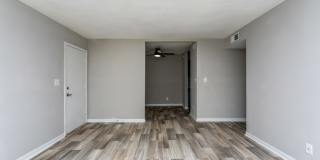 Cielo at 325 Gallery 1