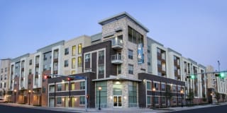 404 Border Gallery 14